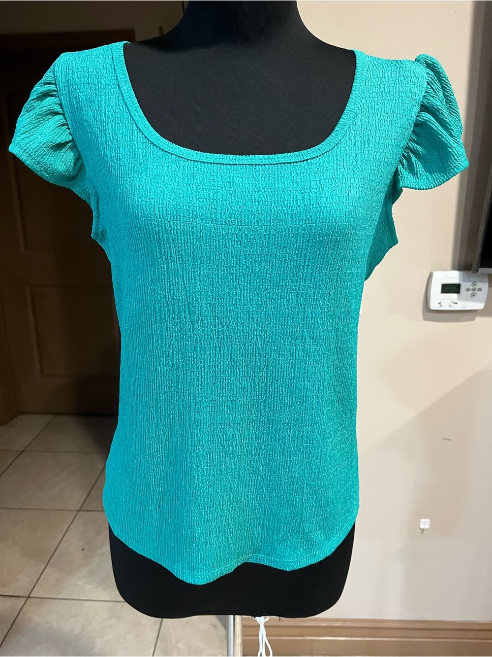 Blu Pepper Teal Puff Sleeve Scoop Neck Top